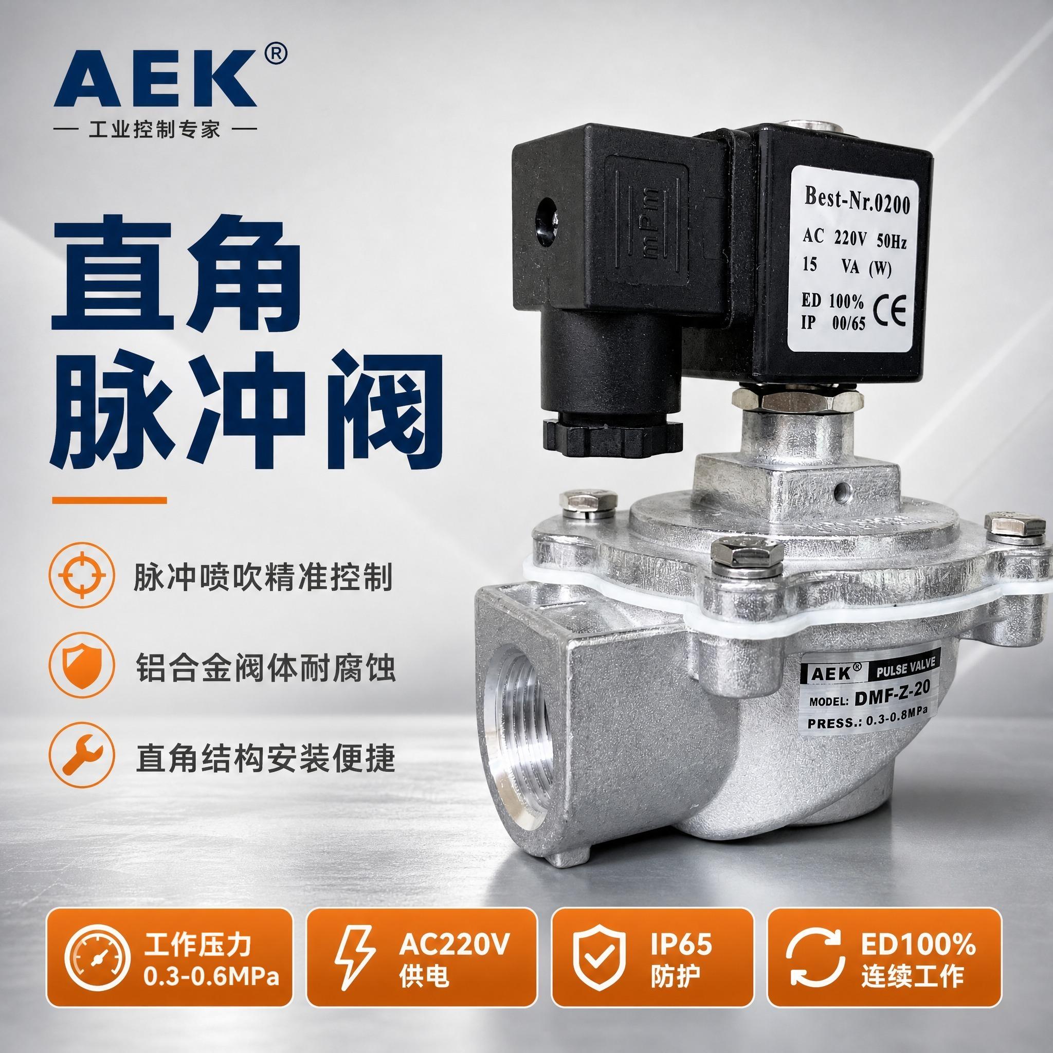 DMF-Z-25直角式电磁脉冲阀